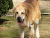 Filename=Picture-149%7E0.jpg
Filesize=57KiB
Dimensions=600x450
Date added=%463 %21, %2006 Picture-149%7E0.jpg