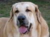 Filename=Picture-157.jpg
Filesize=35KiB
Dimensions=600x450
Date added=%466 %21, %2006 Picture-157.jpg