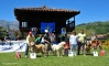 Filename=Podio-AH.jpg
Filesize=254KiB
Dimensions=1601x964
Date added=%782 %20, %2013 Podio-AH.jpg