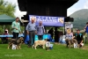 Filename=Podio-Muy-Cachorros-Hembras.jpg
Filesize=296KiB
Dimensions=1141x765
Date added=%960 %12, %2017 Podio-Muy-Cachorros-Hembras.jpg
