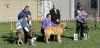Filename=Podium_cachorros_machos_.jpg
Filesize=99KiB
Dimensions=960x467
Date added=%949 %11, %2014 Podium_cachorros_machos_.jpg