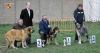Filename=Podium_intermedia_hembras_.png
Filesize=921KiB
Dimensions=960x515
Date added=%893 %15, %2014 Podium_intermedia_hembras_.png