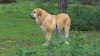 Filename=Quinta_Flavia_de_Montes_del_Pardo.jpg
Filesize=115KiB
Dimensions=853x480
Date added=%495 %23, %2017 Quinta_Flavia_de_Montes_del_Pardo.jpg