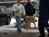 Filename=RUS-CH-Rint-Valer-Vanessa-a.jpg
Filesize=146KiB
Dimensions=1600x1200
Date added=%571 %14, %2009 RUS-CH-Rint-Valer-Vanessa-a.jpg