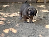 Filename=Remo_Segar_De_Las_Canas-.jpg
Filesize=365KiB
Dimensions=2048x1536
Date added=%870 %02, %2022 Remo_Segar_De_Las_Canas-.jpg