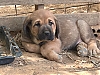 Filename=Remo_Segar_De_Las_Canas.jpg
Filesize=440KiB
Dimensions=2048x1536
Date added=%870 %02, %2022 Remo_Segar_De_Las_Canas.jpg