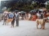 Filename=Retiro_1984.jpg
Filesize=33KiB
Dimensions=480x360
Date added=%588 %21, %2017 Retiro_1984.jpg