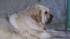 Filename=Rina3.jpg
Filesize=98KiB
Dimensions=960x540
Date added=%807 %07, %2014 Rina3.jpg