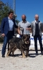 Filename=Ring_abierta_machos----.jpg
Filesize=76KiB
Dimensions=595x960
Date added=%867 %22, %2019 Ring_abierta_machos----.jpg