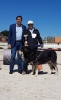 Filename=Ring_abierta_machos--.jpg
Filesize=70KiB
Dimensions=587x960
Date added=%867 %22, %2019 Ring_abierta_machos--.jpg