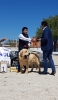 Filename=Ring_abierta_machos2Cb.jpg
Filesize=71KiB
Dimensions=562x960
Date added=%867 %22, %2019 Ring_abierta_machos2Cb.jpg