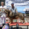 Filename=Ron_de_Amdece_de_Nava.jpg
Filesize=145KiB
Dimensions=960x949
Date added=%778 %05, %2015 Ron_de_Amdece_de_Nava.jpg