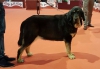 Filename=Ronda_de_A_Limia,.jpg
Filesize=51KiB
Dimensions=960x668
Date added=%883 %05, %2017 Ronda_de_A_Limia,.jpg