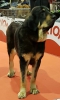 Filename=Ronda_de_A_Limia.jpg
Filesize=50KiB
Dimensions=581x960
Date added=%905 %05, %2017 Ronda_de_A_Limia.jpg