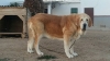 Filename=SOLEDAD----.jpg
Filesize=77KiB
Dimensions=960x540
Date added=%375 %21, %2019 SOLEDAD----.jpg