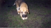 Filename=Scannen000111.jpg
Filesize=200KiB
Dimensions=1407x788
Date added=%677 %06, %2008 Scannen000111.jpg