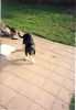 Filename=Scannen000114.jpg
Filesize=153KiB
Dimensions=808x1167
Date added=%676 %06, %2008 Scannen000114.jpg