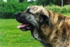 Filename=Scannen000115.jpg
Filesize=102KiB
Dimensions=1167x788
Date added=%507 %05, %2008 Scannen000115.jpg