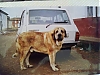 Filename=Sirocco2C_80_s.jpg
Filesize=63KiB
Dimensions=960x720
Date added=%944 %08, %2021 Sirocco2C_80_s.jpg