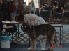 Filename=Slovehia1.jpg
Filesize=17KiB
Dimensions=448x336
Date added=%892 %22, %2007 Slovehia1.jpg
