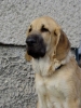 Filename=Sofie.jpg
Filesize=68KiB
Dimensions=675x900
Date added=%462 %24, %2006 Sofie.jpg