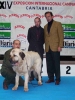 Filename=Spanish-Breeds-2.jpg
Filesize=45KiB
Dimensions=350x463
Date added=%693 %07, %2006 Spanish-Breeds-2.jpg