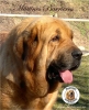 Filename=Telva_de_Barrieros.jpg
Filesize=119KiB
Dimensions=780x960
Date added=%973 %22, %2019 Telva_de_Barrieros.jpg