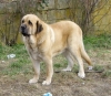 Filename=Terry_.jpg
Filesize=141KiB
Dimensions=595x518
Date added=%712 %07, %2008 Terry_.jpg