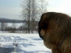 Filename=The-Lake1.jpg
Filesize=27KiB
Dimensions=640x480
Date added=%689 %01, %2009 The-Lake1.jpg