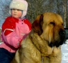 Filename=The-Sunshine1.jpg
Filesize=25KiB
Dimensions=521x480
Date added=%688 %01, %2009 The-Sunshine1.jpg