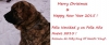 Filename=Tinde_Sunila_finland_xmas14.jpg
Filesize=34KiB
Dimensions=840x357
Date added=%947 %25, %2014 Tinde_Sunila_finland_xmas14.jpg