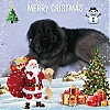 Filename=Trixie_Anton.jpg
Filesize=60KiB
Dimensions=750x750
Date added=%048 %01, %2021 Trixie_Anton.jpg