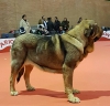 Filename=Troya_de_Toranzo,m.jpg
Filesize=101KiB
Dimensions=960x930
Date added=%906 %05, %2017 Troya_de_Toranzo,m.jpg