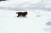 Filename=U09.jpg
Filesize=31KiB
Dimensions=800x531
Date added=%913 %06, %2009 U09.jpg
