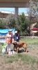 Filename=Uno_de_Autocan_en_veteranos_exc_1.jpg
Filesize=114KiB
Dimensions=528x960
Date added=%978 %16, %2019 Uno_de_Autocan_en_veteranos_exc_1.jpg