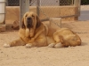 Filename=Viky.jpg
Filesize=30KiB
Dimensions=410x308
Date added=%783 %02, %2007 Viky.jpg