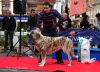Filename=Xana.jpg
Filesize=119KiB
Dimensions=1059x765
Date added=%941 %30, %2011 Xana.jpg