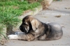 Filename=Xana2.jpg
Filesize=98KiB
Dimensions=1026x680
Date added=%951 %15, %2008 Xana2.jpg