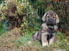 Filename=Xana4.jpg
Filesize=171KiB
Dimensions=985x737
Date added=%952 %15, %2008 Xana4.jpg