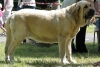 Filename=Zazi-3ys.jpg
Filesize=72KiB
Dimensions=740x496
Date added=%735 %01, %2008 Zazi-3ys.jpg