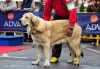 Filename=Zeus-AN.jpg
Filesize=101KiB
Dimensions=1059x737
Date added=%932 %30, %2011 Zeus-AN.jpg