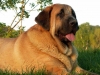 Filename=Zula-(58).jpg
Filesize=45KiB
Dimensions=640x480
Date added=%391 %01, %2006 Zula-(58).jpg
