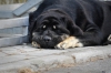 Filename=_DSC0027.jpg
Filesize=387KiB
Dimensions=1430x949
Date added=%718 %08, %2015 _DSC0027.jpg