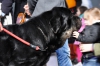 Filename=_DSC0323.jpg
Filesize=847KiB
Dimensions=1430x949
Date added=%718 %08, %2015 _DSC0323.jpg