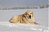 Filename=__Ich_Nike_Charley_Tornado_Erben_7_years_old.jpg
Filesize=91KiB
Dimensions=1275x850
Date added=%767 %20, %2021 __Ich_Nike_Charley_Tornado_Erben_7_years_old.jpg