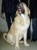 Filename=a-Hector.jpg
Filesize=29KiB
Dimensions=450x601
Date added=%972 %30, %2007 a-Hector.jpg
