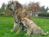 Filename=a-a+ch1.jpg
Filesize=249KiB
Dimensions=600x450
Date added=%609 %11, %2007 a-a+ch1.jpg