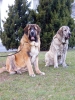 Filename=a-aragon,jenny8.jpg
Filesize=105KiB
Dimensions=600x800
Date added=%924 %19, %2009 a-aragon,jenny8.jpg