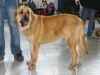 Filename=a-arba1.jpg
Filesize=31KiB
Dimensions=600x450
Date added=%927 %19, %2009 a-arba1.jpg
