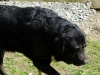 Filename=a-beli.jpg
Filesize=19KiB
Dimensions=400x300
Date added=%740 %13, %2006 a-beli.jpg